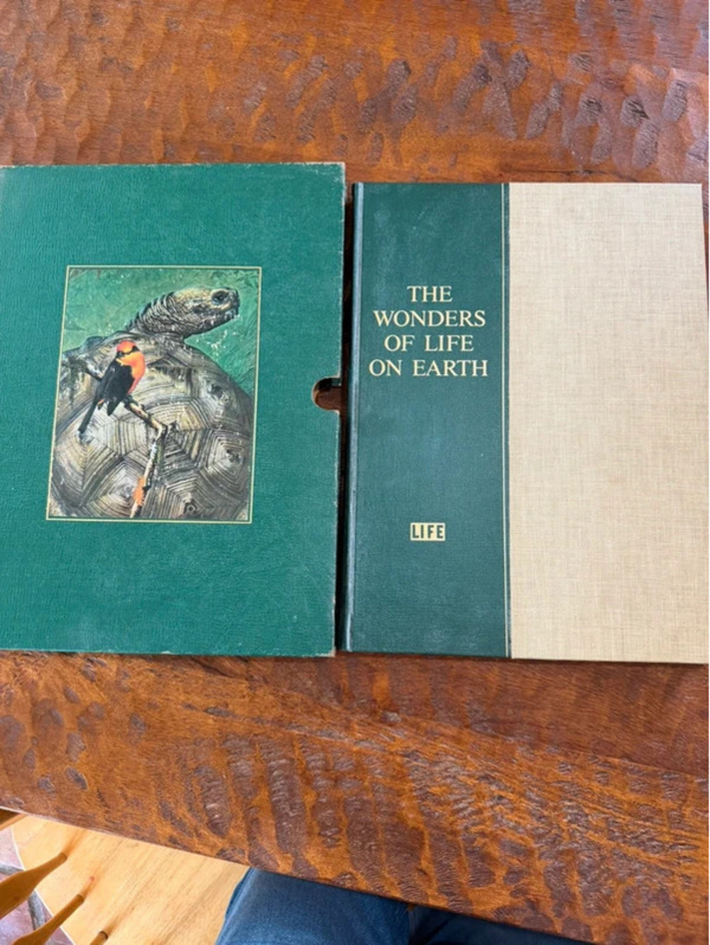 Antique vintage hardcover book-beautiful pieces of DIY framed Art